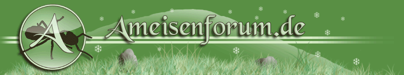 Ameisenforum.de