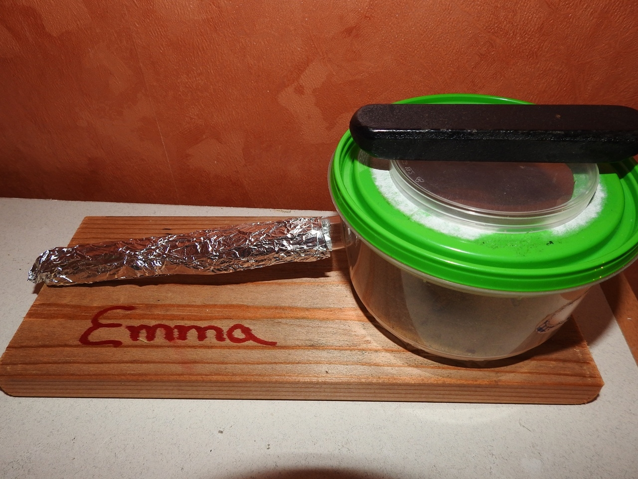 Emma´s Reagenzglas mit Miniarena