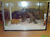 DSC00158.JPG