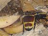IMGP2674 - Kopie.JPG