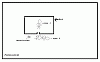 Lasius niger Pleometrose.gif