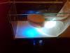 IMG00037-20100213-1759.jpg