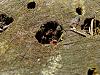 5119_4977f99723ca80fdcea72a1562baba13