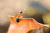 900_DSC_2251.jpg
