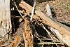 900_DSC_3665.jpg