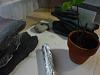 DSC01156.JPG