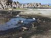 3-USA-143-Mono-lake.jpg