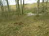 20130317_134608.jpg