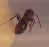 20130725_092148.jpg (50.62 KiB) 1223 mal betrachtet 20130725_092148.jpg