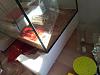 20130825_085604.jpg