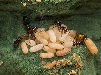 IMG_1781_low.jpg