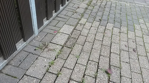 20140901_141053.jpg