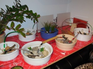 Anlage Stand 04/14