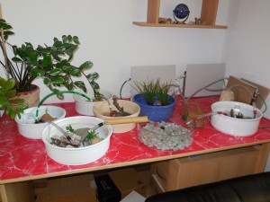 DSCN0325 - Kopie.JPG (214.45 KiB) 1758 mal betrachtet Anlage mit neuer Arena (Glasschale mit Leuchtkiesel vorne)