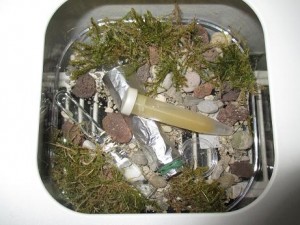 Besiedeltes Overground-Formicarium mit extra Fütterer