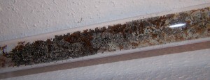 100_6278.JPG