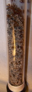 100_6280.JPG