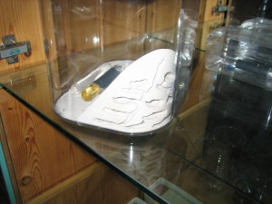 IMG_3695.JPG (1.04 MiB) 1799 mal betrachtet Gipsformicarium