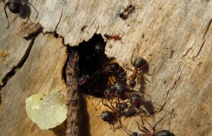 IMG_0753.jpg