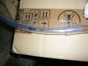 P1130998.JPG (167.14 KiB) 2170 mal betrachtet Ich habe irgendwie das Gefühl, die Eier sind mehr geworden.