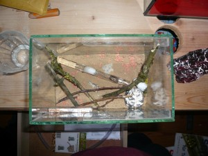 P1140002.JPG (203.84 KiB) 2166 mal betrachtet und das ist die Arena inkl. RG