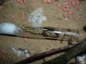 P1140007.JPG (135.95 KiB) 2166 mal betrachtet und das ist ein sehr schlechtes Bild, bei dem ich versucht hab, an das leere RG ran zu zoomen.