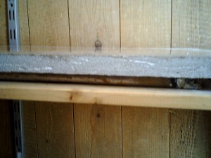 Betonnest mit Wassertank