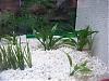 IMAG0039.JPG