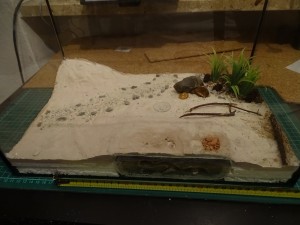 Übersicht Formicarium