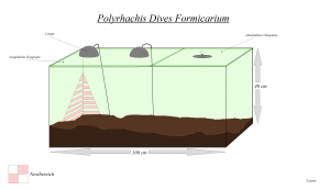 Formicarium Entwurf.png