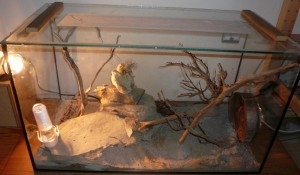 schmidti hb übersicht (1).JPG (140.5 KiB) 8891 mal betrachtet Übersicht über das umgestaltete schmidti Formi