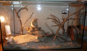 schmidti hb übersicht (2).JPG (145.97 KiB) 9252 mal betrachtet Übersicht über das umgestaltete schmidti Formi