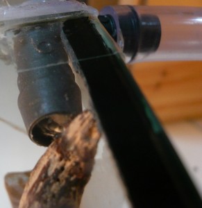 schmidti neuer (5).JPG (158.45 KiB) 8891 mal betrachtet Neu, das Kartonnest ?