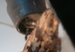 schmidti neuer (7).JPG (113.78 KiB) 9252 mal betrachtet Neu, das Kartonnest ?