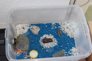 IMG_1628.JPG