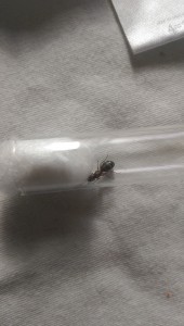 tmp_6865-IMAG0156-165393025.jpg