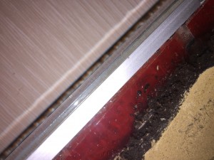 IMG_7465.JPG (1.71 MiB) 1634 mal betrachtet Es sitzt oberhalb der Roten Folie an der Scheibe