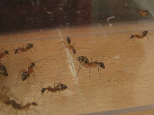 IMG_1144.JPG