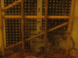 IMG_1239.JPG (1.97 MiB) 1081 mal betrachtet unterer Teil