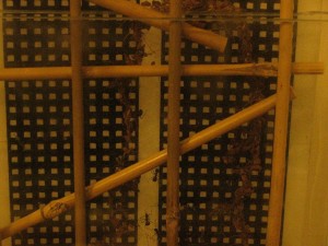 IMG_1240.JPG (1.99 MiB) 1085 mal betrachtet oberer Teil