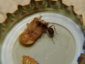 DSCN8836.JPG