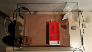 Setup.jpg