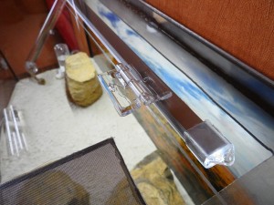 DSCN8993.JPG