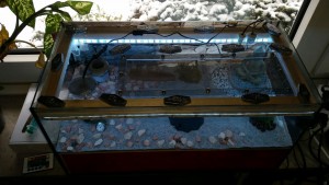 IMG-20170208-WA0012.jpg