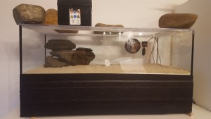 20170305_175336.jpg