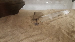 20170307_203736.jpg