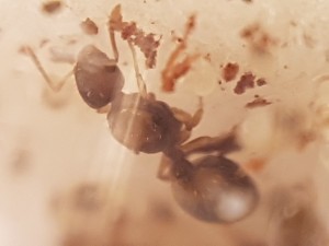 20170414_210430[1].jpg