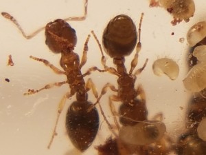 20170414_210647[1].jpg