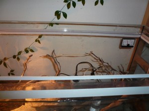 schmidti1.JPG (132.32 KiB) 5008 mal betrachtet Paraffinölrahmen