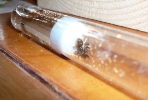 flavus1 (1).JPG (135.71 KiB) 5008 mal betrachtet Leider hab ich kein gutes Foto hinbekommen